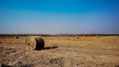 Kakadu Kasino Mobilní aplikace